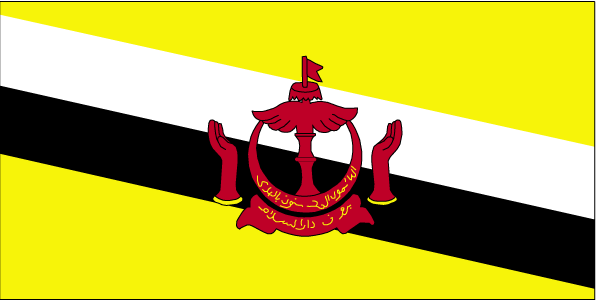 flag of Brunei